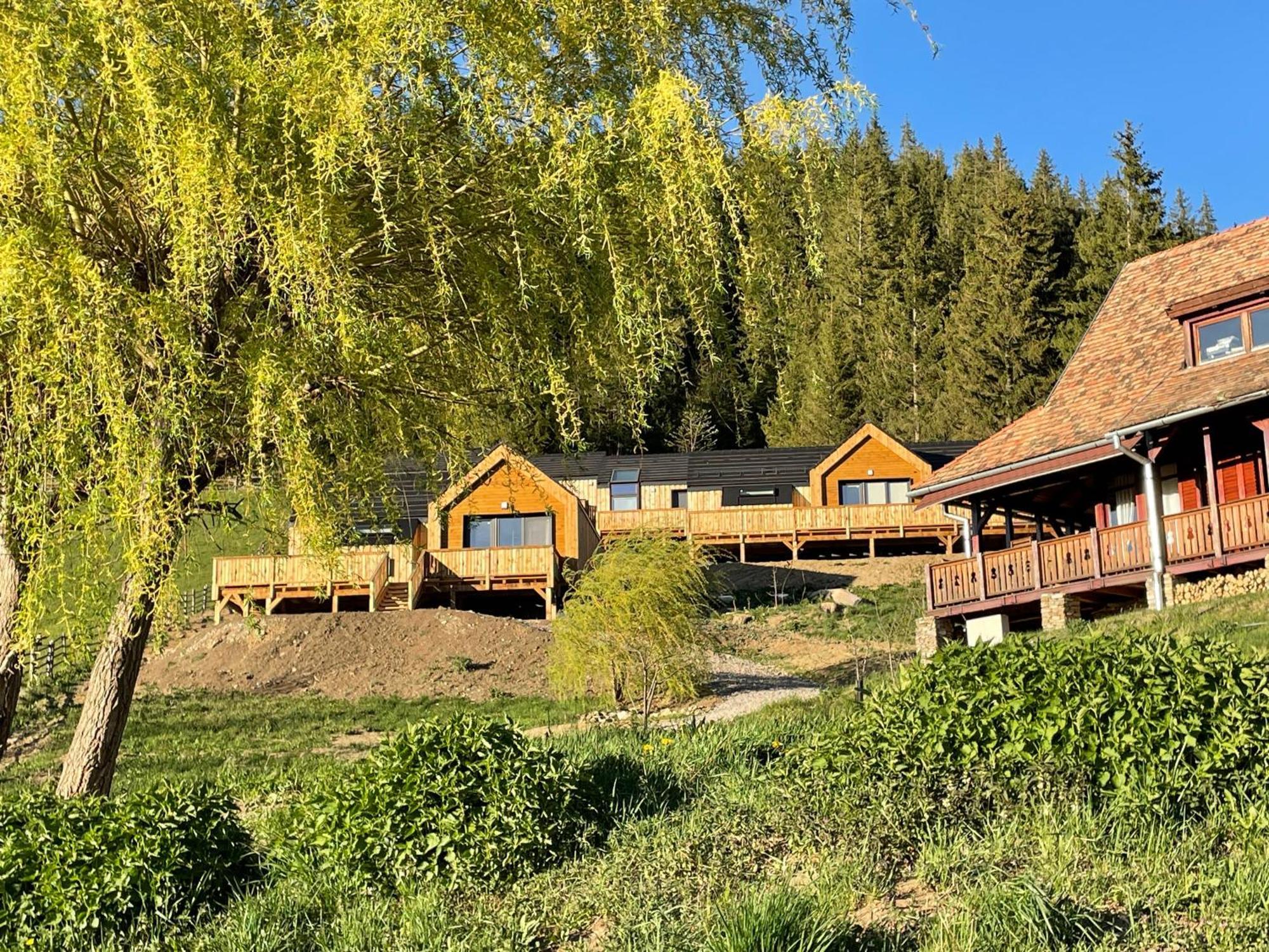Kaliba Cabins Valea Boros Exteriör bild